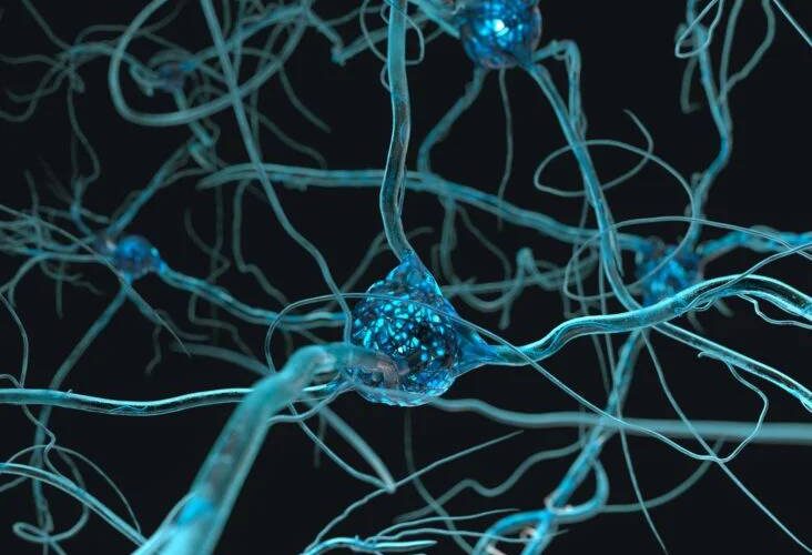 Revolutionary Research Offers Promise In Enhancing Understanding And Preventing Alzheimer’s Disease